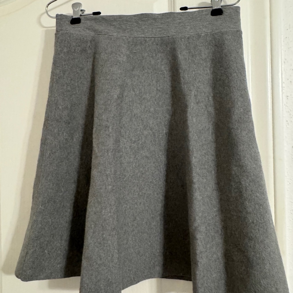 Ann Taylor Skirt